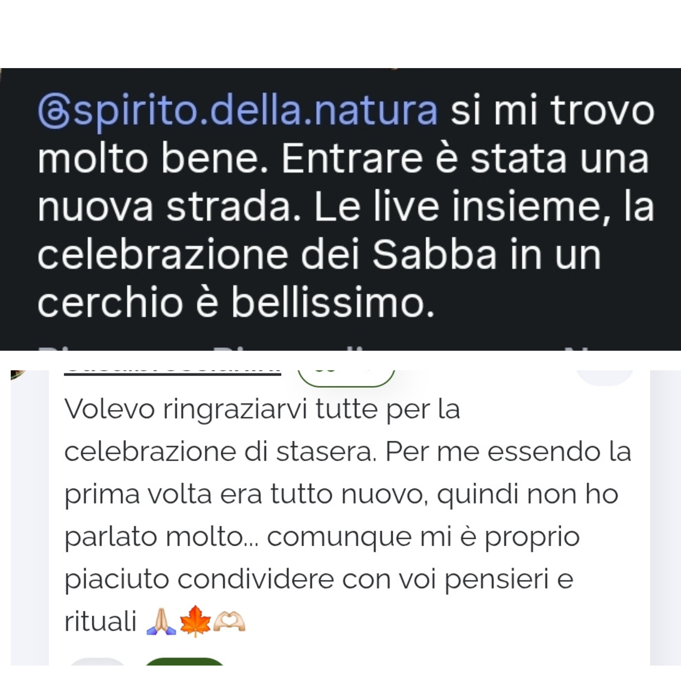 Testimonianza 7
